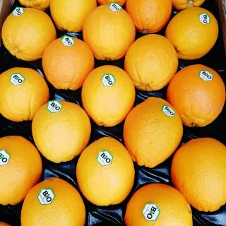 I po Vánocích máme na obou prodejnách otevřeno a zavezené čerstvé zboží 🍌🍞🥛 Prodejna v centru (Plachého 257/9) otevřeno:...